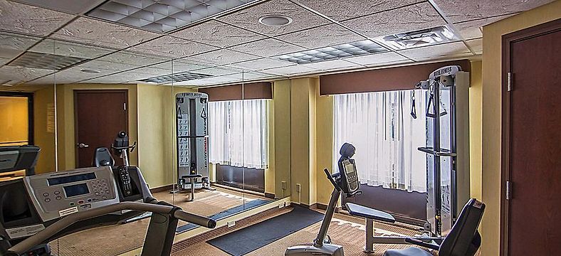 Comfort Inn Rochester